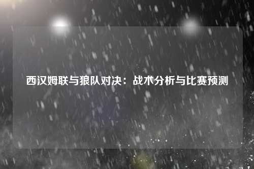 西汉姆联与狼队对决：战术分析与比赛预测
