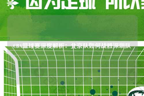 CBA篮球赛深度解析：北京队如何战胜深圳队