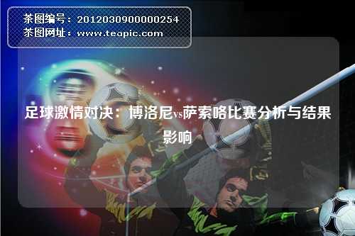 足球激情对决：博洛尼vs萨索咯比赛分析与结果影响