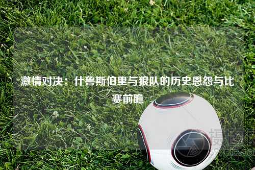激情对决：什鲁斯伯里与狼队的历史恩怨与比赛前瞻