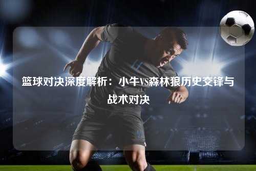 篮球对决深度解析：小牛VS森林狼历史交锋与战术对决