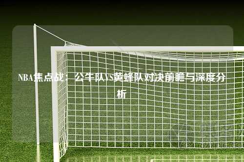 NBA焦点战：公牛队VS黄蜂队对决前瞻与深度分析