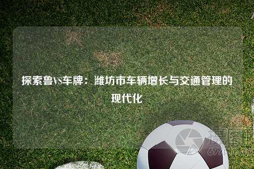 探索鲁VS车牌:潍坊市车辆增长与交通管理的现代化