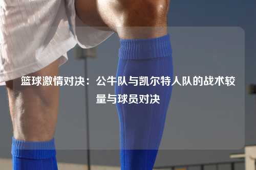 篮球激情对决：公牛队与凯尔特人队的战术较量与球员对决